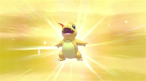 shiny charmander pokemon sword.